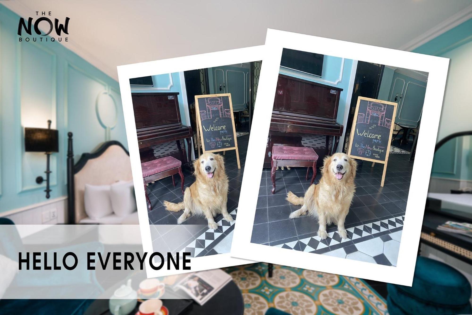 The Now Boutique Hotel & Apartment Da Nang Luaran gambar